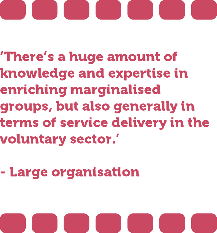 ‘There’s a huge amount of knowledge and expertise in enriching marginalised groups, but also generally in terms of service delivery in the voluntary sector.’ - Large organisation  