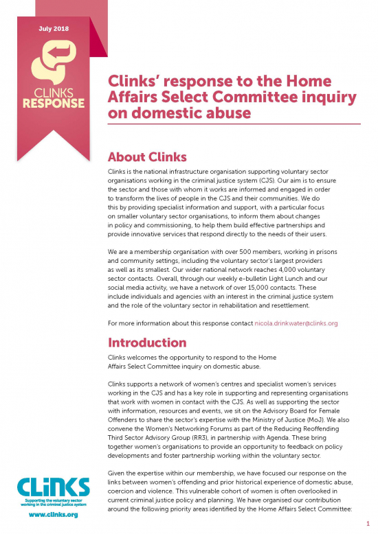Home Affairs Select Committee inquiry on domestic abuse front cover