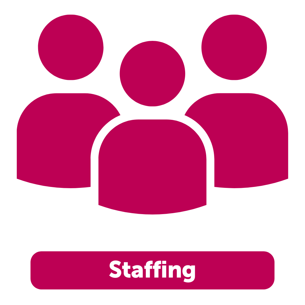 State of the Sector 2024 - Staffing