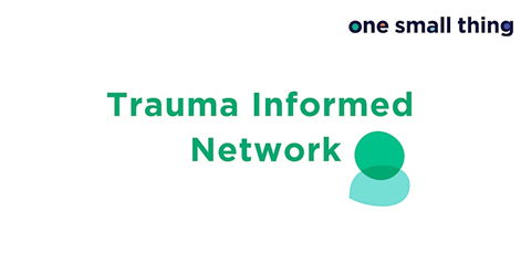 Trauma informed network
