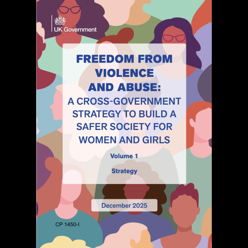 Violence Against Women and Girls (VAWG) Strategy Blog