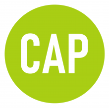 CAP Enterprise logo