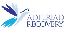 Adferiad Recovery Hummingbird